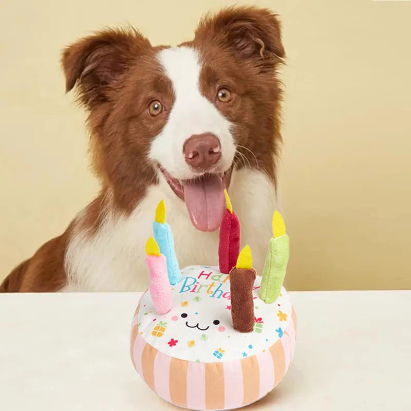 Birthday Cake Dog Chew Toy | Squeaky Molar Plush Pet Toy