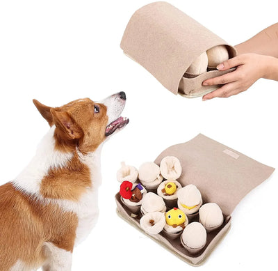 Juguete para Perros Cartón de Huevos, 11" | 28 centímetros