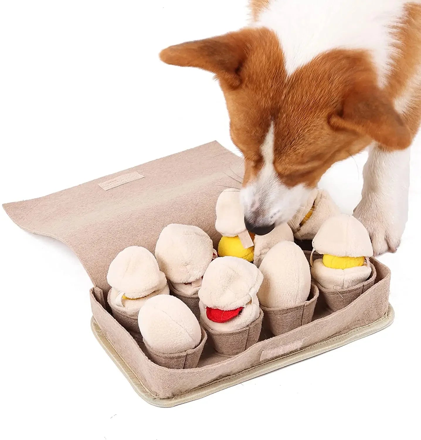 Juguete para Perros Cartón de Huevos, 11" | 28 centímetros