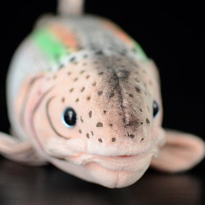 Realistic Rainbow Trout Plushie, 16" | 40 cm plush toy – – – Image 4 | Plushie Produce